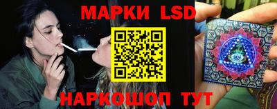 индика Славгород