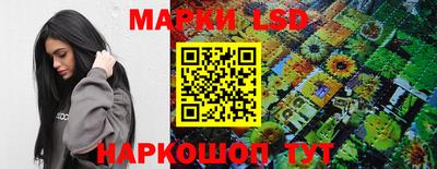 амф Сланцы