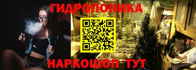 амф Сланцы