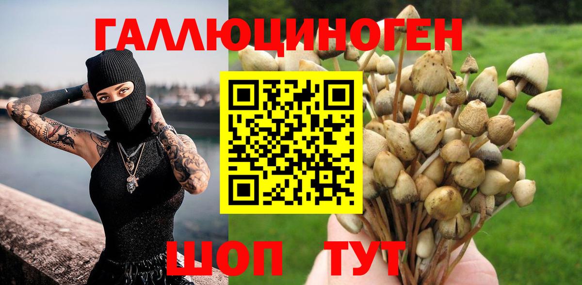 Псилоцибиновые грибы мухоморы  Псилоцибиновые грибы мухоморы  Вход с VPN  Орёл 